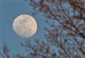 Get high in the Highlands for tonight's flower moon