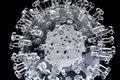 Researchers looking at whether common cold offers some protection from Covid-19
