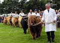 Loyalty of Grantown Show crowd praised - slideshow now on