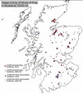 Shocking death toll of birds of prey