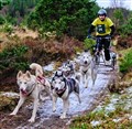 Not much room on the homeward trail