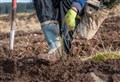 New woodlands target missed in Scotland as storms took their toll