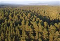 Cash windfall for Grantown’s Anagach Woods vision from turbines