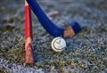 Twin probes launched into alleged attack on shinty player (17) by spectator during match