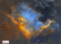 A stunning image of the North America Nebula in the constellation Cygnus. It is so named because its shape resembles North America.