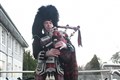 Spud the Piper. Picture: James Mackenzie.