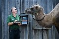 In Pictures: Animal magic at London Zoo on weigh-in day