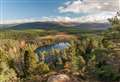 Views sought on plans for Strathspey forests