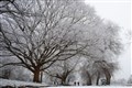 Snow and ice set to hit UK over bitterly cold weekend