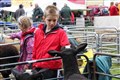 Two children enjoy meeting the sheep in the pens