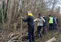 Turn those winter cuttings into conservation with a ‘dead hedge’