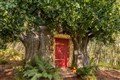 Winnie-the-Pooh ‘bearbnb’ comes to East Sussex to mark 95th anniversary
