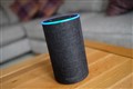 Fact check: Alexa errors, waiting lists and ‘Liam Payne video’ claims