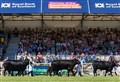 Chance for Badenoch and Strathspey firms to shine at Royal Highland Show