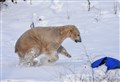 Badenoch 'bears up' in the storm!