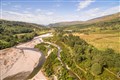 Regenerating woodland along the river feshie. Glenfeshie in the Cairngorms Connect area, Scotland.