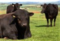 NFU Scotland calls on Scottish Government to rebase Vital Less Favoured Areas Scheme