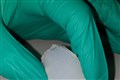 Scientists create tongue-like surface using 3D printer