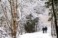 In Pictures: Wintry conditions as snow and freezing rain batters parts of the UK