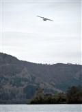 Catalina being put back into the water at Loch ness, Drumnadrochit....Picture: Callum Mackay..