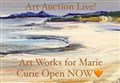 Art auction in aid of Marie Curie