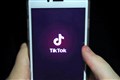 Police officers committed gross misconduct by posting ‘offensive’ TikTok videos