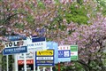 Home buyer inquiries increase overall for first time this year – surveyors