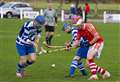 Newtonmore seconds go unbeaten for whole season in revised shinty league