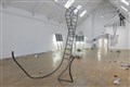 Jesse Darling wins Turner Prize after turning roller coaster into mammoth