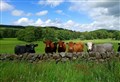 Farming and crofting network launch new publication lauding benefit of trees