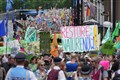 Countries gather for UN biodiversity summit to negotiate halting nature crisis