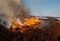 Wildfire risk is no higher on estates with regeneration