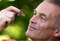 Chris Packham calls for public to get counting butterflies