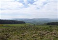 Highlands could see more woodlands now with government-backing for Scottish Forestry drive