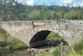 Inverness court hears how Forres farmer caused £60,000 damage to bridge