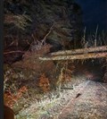 Just some of the tree falls reported along the A82. Picture: Bear Scotland.