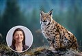 'Lynx can be a boon for local economies' – Highland MSP holds event in partnership with rewilding coalition
