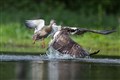 One of Andy Howard's photos.
