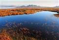 Flow Country joins Great Barrier Reef and Grand Canyon among Unesco World Heritage sites