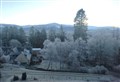 Frost bites in Badenoch and Strathspey