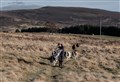VIDEO: Strathspey crofting stars in reassuring NFU promo