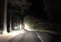 Highland landowners urged to check out Storm Babet damage