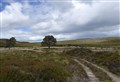 Strathspey MSP wants to hear more on ‘scale conservation’ firm’s acquisition of Dorback Estate