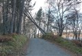 Highlanders warned to stay away from forests until Arwen devastation is cleared