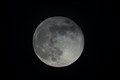 Micro cold ‘water traps’ on moon could be more common than previously thought