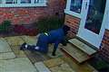 CCTV catches moment ‘purr-culiar’ burglar comes face to face with pet cat