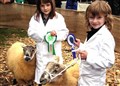 Young handlers Sinead Connor and Alyce Farquhason