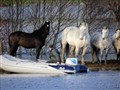 Early winter floods recede in Badenoch