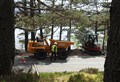 YOUR VIEWS: There are already millions of trees but little parking