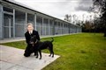 Pets given new Highland centre whilst waiting for new home 